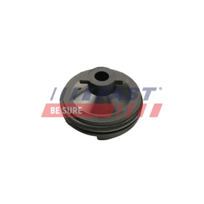 Bilde av FAST FT49501 Oljeplugg med tetningsring PEUGEOT: 508 I SW, 5008 I, 3008 II SUV, FORD: FOCUS 3 Turnier, Mondeo 5 Kombi,
