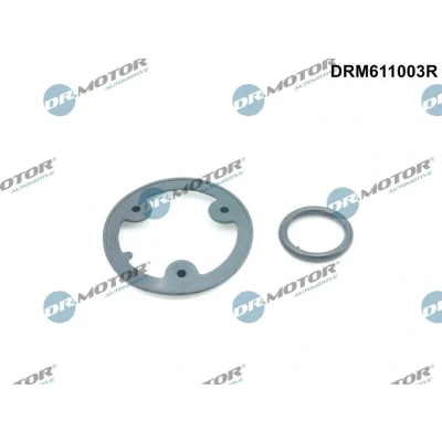 Bilde av DR.MOTOR AUTOMOTIVE DRM611003R Pakninger