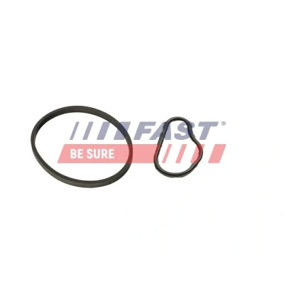 Bilde av FAST FT48943 Pakninger JAGUAR: X Type Sedan, PEUGEOT: 308 SW 2, MERCEDES BENZ: C Klasse Sedan