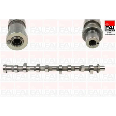 Bilde av FAI AutoParts C295 Kamaksel NISSAN: Pathfinder 3