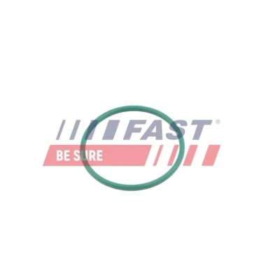 Bilde av FAST FT49921 Tetningsring, laseluftslange CITROËN: C4 Picasso 1, FORD: Focus 2 Kombi