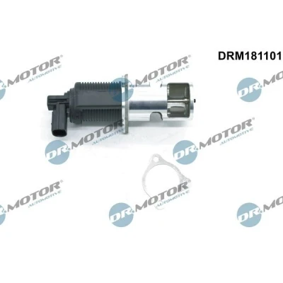 Bilde av DR.MOTOR AUTOMOTIVE DRM181101 EGR Ventil elektrisk med tetning RENAULT: MASTER 2 Pritsche/Fahrgestell, Kangoo I, I Express