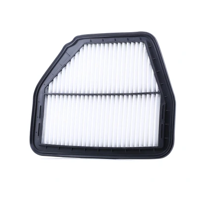 Bilde av Luftfilter, chevrolet captiva, opel antara a, 22745824, 4802876