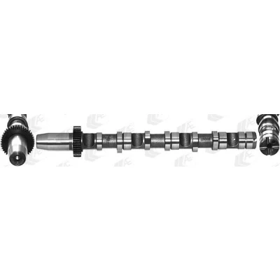 Bilde av AE CAM935 Kamaksel for sylinder 4 6, inngang AUDI: A4 B7 Avant